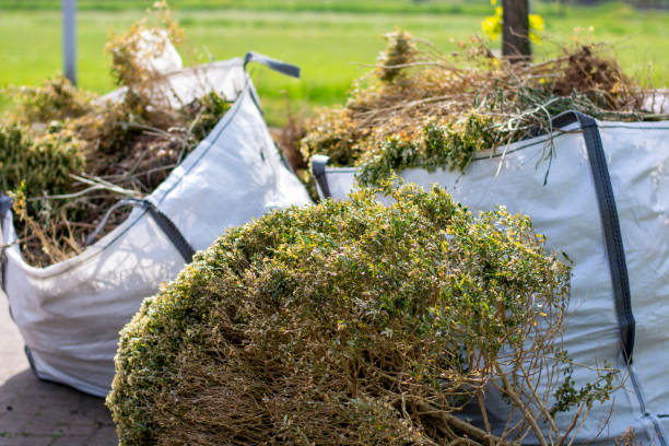 Best Full-Service Junk Removal  in Virden, IL