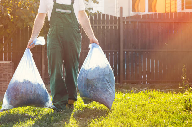 Best Electronics Removal Services  in Virden, IL
